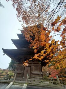 sites/6/2024/11/16-222x300.jpgの画像