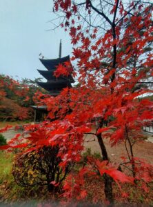 sites/6/2024/11/18-222x300.jpgの画像