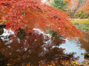 sites/6/2024/11/5-3-300x225.jpgの画像