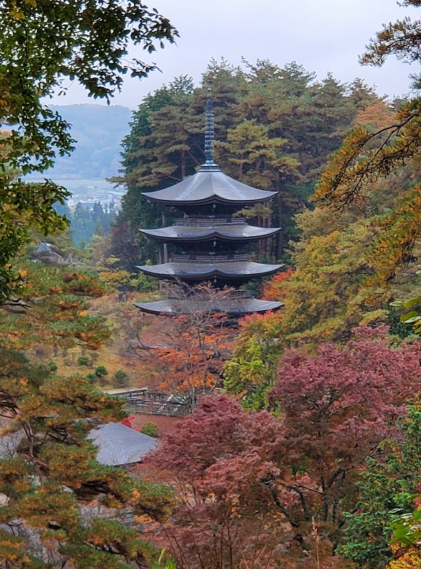 sites/6/2024/11/7.jpgの画像