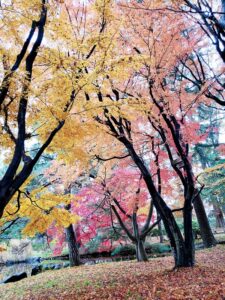 sites/6/2024/11/8-1-225x300.jpgの画像