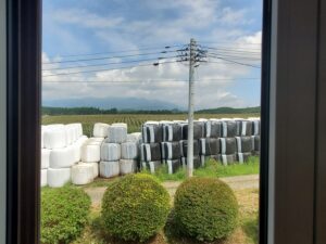 sites/6/2025/08/10-300x225.jpgの画像