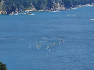 sites/6/2025/10/20250923_120326-300x225.jpgの画像