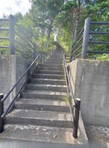 sites/6/2025/10/20250923_123652-222x300.jpgの画像