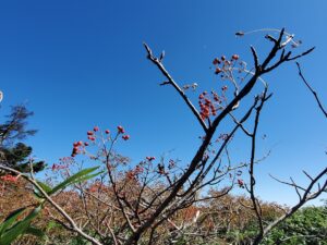 sites/6/2025/10/20250924_113514-300x225.jpgの画像