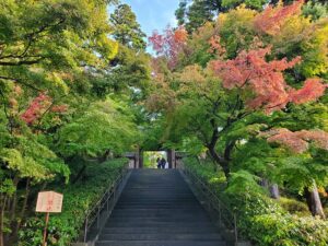 sites/6/2025/11/20251101_083439-300x225.jpgの画像