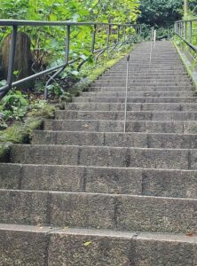 sites/6/2025/11/20251101_100033-222x300.jpgの画像