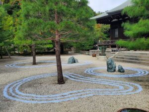 sites/6/2025/11/20251101_110848-300x225.jpgの画像