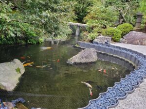 sites/6/2025/11/20251101_143305-300x225.jpgの画像