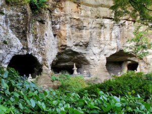 sites/6/2025/11/20251101_143410-1-300x225.jpgの画像