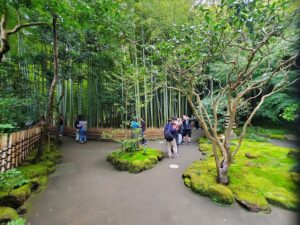 sites/6/2025/11/20251101_143430-300x225.jpgの画像