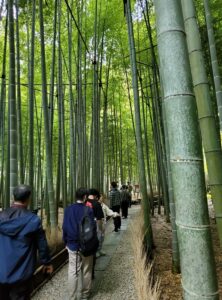 sites/6/2025/11/20251101_143621-222x300.jpgの画像