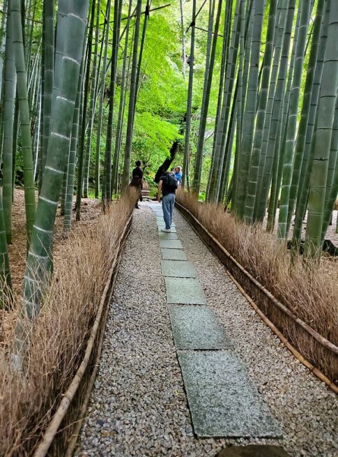 sites/6/2025/11/20251101_143701-485x655.jpgの画像