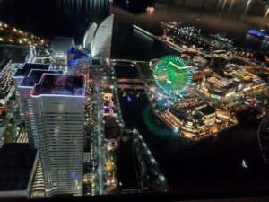 sites/6/2025/11/20251101_194042-300x225.jpgの画像