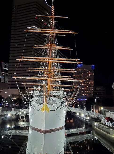 sites/6/2025/12/20251101_192432-485x655.jpgの画像