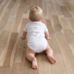 sites/6/2026/02/1696a59602594c1a02f5f15066a9785a-150x150.jpegの画像