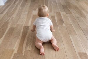 sites/6/2026/02/1696a59602594c1a02f5f15066a9785a-300x200.jpegの画像