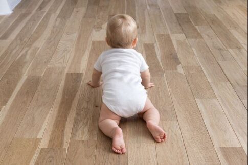 sites/6/2026/02/1696a59602594c1a02f5f15066a9785a-485x323.jpegの画像