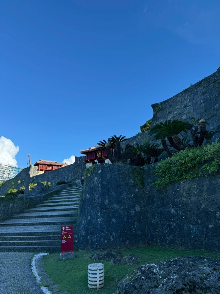 sites/6/2026/02/735aeb5c9913b6abf9be49ecf147c28e-768x1024.jpgの画像