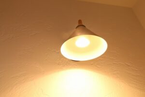 sites/6/2026/03/IMG_9211-300x200.jpgの画像