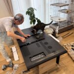 猫と住む家の画像