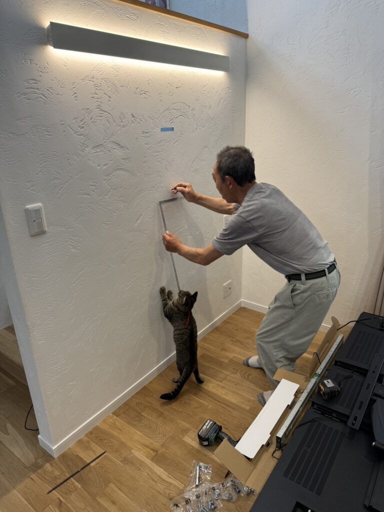 猫と住む家の画像