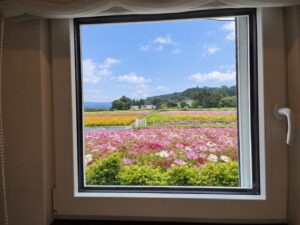 sites/6/2026/09/1-1-300x225.jpgの画像