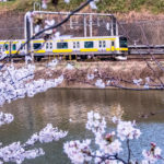 sites/9/2018/04/20130323-P3230898_TP_V-150x150.jpgの画像