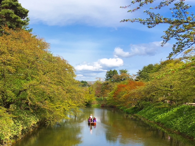 桜散ってたの画像