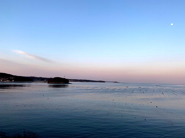 sites/9/2019/03/648cdc34a175126ef890ce4a840a5848.jpgの画像