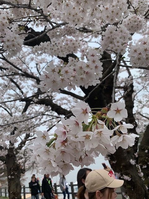 sites/9/2019/04/IMG_0627-e1556171602546.jpgの画像