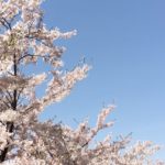 sites/9/2019/04/image2-150x150.jpgの画像