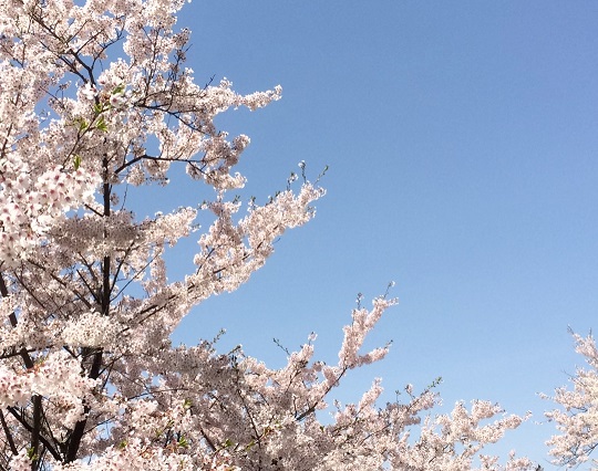 sites/9/2019/04/image2.jpgの画像