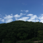sites/9/2019/06/50f1003ef7b7c8e7d5fa3e75de43072f-150x150.pngの画像