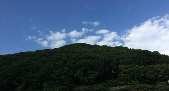 sites/9/2019/06/50f1003ef7b7c8e7d5fa3e75de43072f.pngの画像