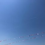 sites/9/2019/06/IMG_0439-150x150.jpgの画像