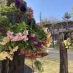 sites/9/2021/04/4c3cfa8f220cc669194f64fd3224797f-150x150.jpgの画像