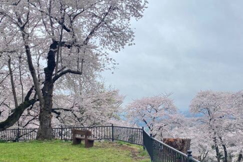 紫波町のお花見スポット｜Ua値0.15の高断熱高気密注文住宅大共ホームの画像