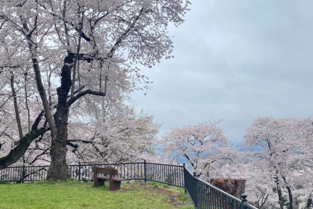 紫波町のお花見スポット｜Ua値0.15の高断熱高気密注文住宅大共ホームの画像
