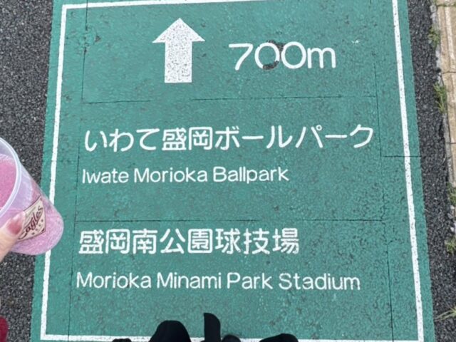 路面標識|盛岡市で高断熱高気密新築一戸建てを考えるなら大共ホームの画像