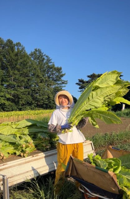たばこ幹狩り⑤｜岩手県で建てるなら大共ホームの画像