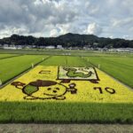 田んぼアート｜岩手県で建てるなら大共ホームの画像