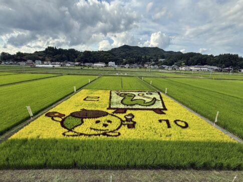 田んぼアート｜岩手県で建てるなら大共ホームの画像