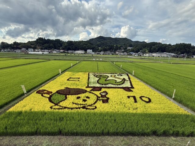 田んぼアート|岩手県で建てるなら大共ホームの画像