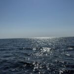 sites/9/2025/08/S__66519053-e1755058799930-150x150.jpgの画像