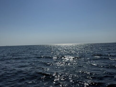sites/9/2025/08/S__66519053-e1755058799930-485x365.jpgの画像