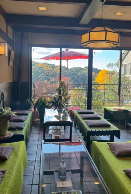 sites/9/2025/12/06c1c8630fdd041e2e64d3e71b9c0e79-e1764987893228.jpgの画像