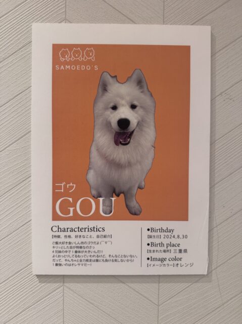 sites/9/2026/01/9aaa01d0fef7b48883d3a72c6d4e6538-scaled-e1768182143751.jpgの画像