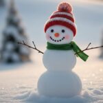 雪だるま｜岩手県で二世帯住宅をお考えなら注文住宅の大共ホームの画像