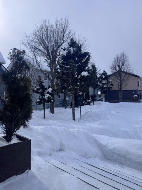 sites/9/2026/01/S__62406660-scaled-e1768965646106.jpgの画像